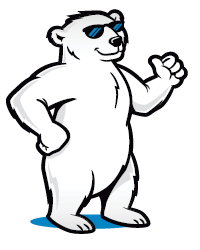 Too-Cool-Apparel-Bear